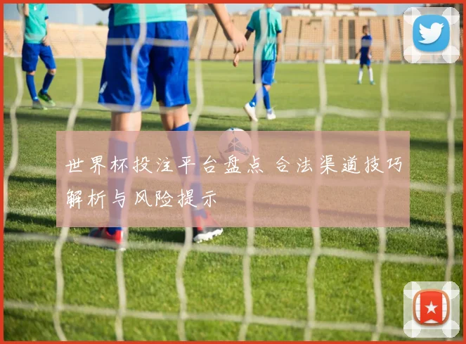 世界杯投注平台盘点 合法渠道技巧解析与风险提示