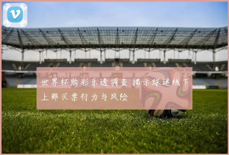 世界杯购彩乐透调查 揭示球迷线下上那买票行为与风险