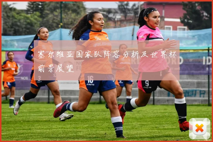 塞尔维亚国家队阵容分析及世界杯前景展望