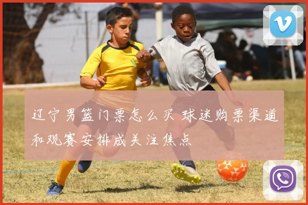 辽宁男篮门票怎么买 球迷购票渠道和观赛安排成关注焦点