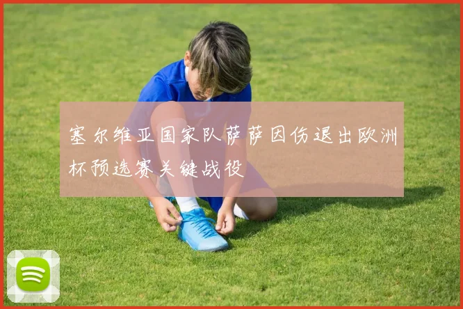 塞尔维亚国家队萨萨因伤退出欧洲杯预选赛关键战役